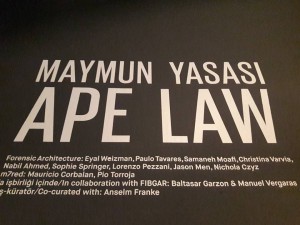 ape-law