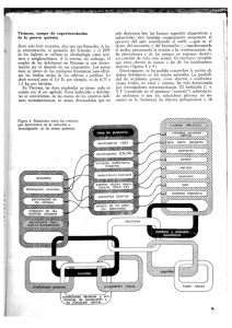 ciencianueva9-11-638