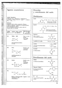 ciencianueva9-13-638