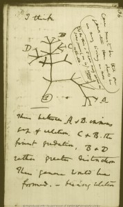 DarwinArchive_1837_NotebookB_CUL-DAR121.-_038